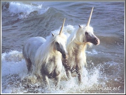 licornes