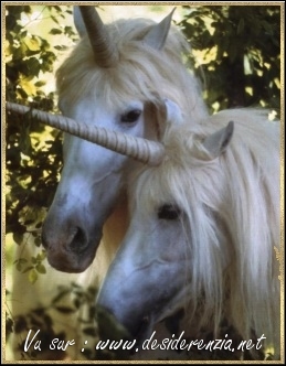 licorne