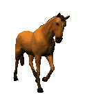 cheval
