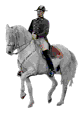 cheval espagnol