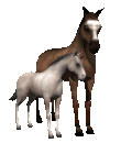 cheval