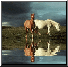 cheval